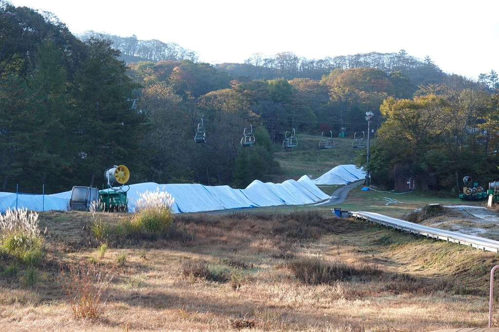DSC03725_R.JPG