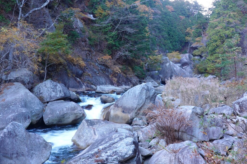 DSC05495_R.JPG