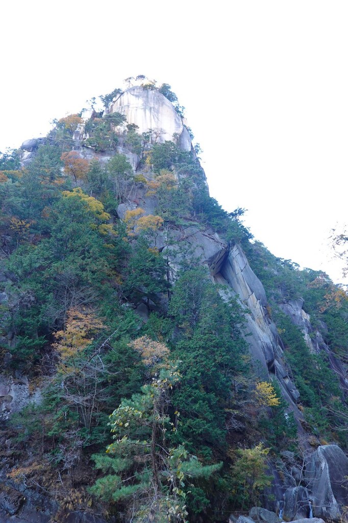 DSC05496_R.JPG