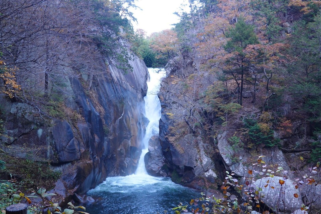 DSC05502_R.JPG
