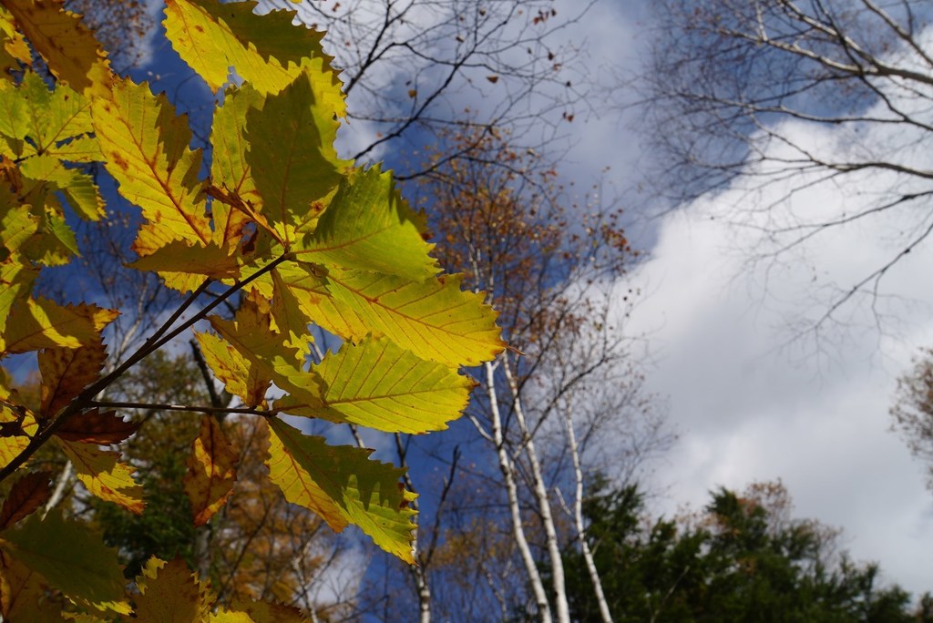 DSC05922_R.JPG