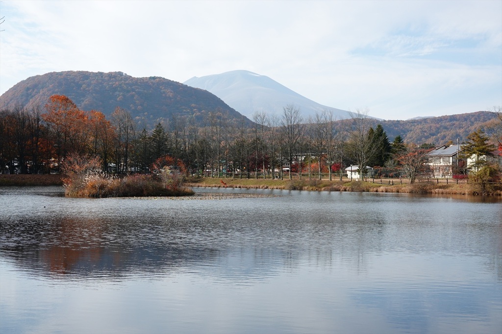 DSC06249_R.JPG