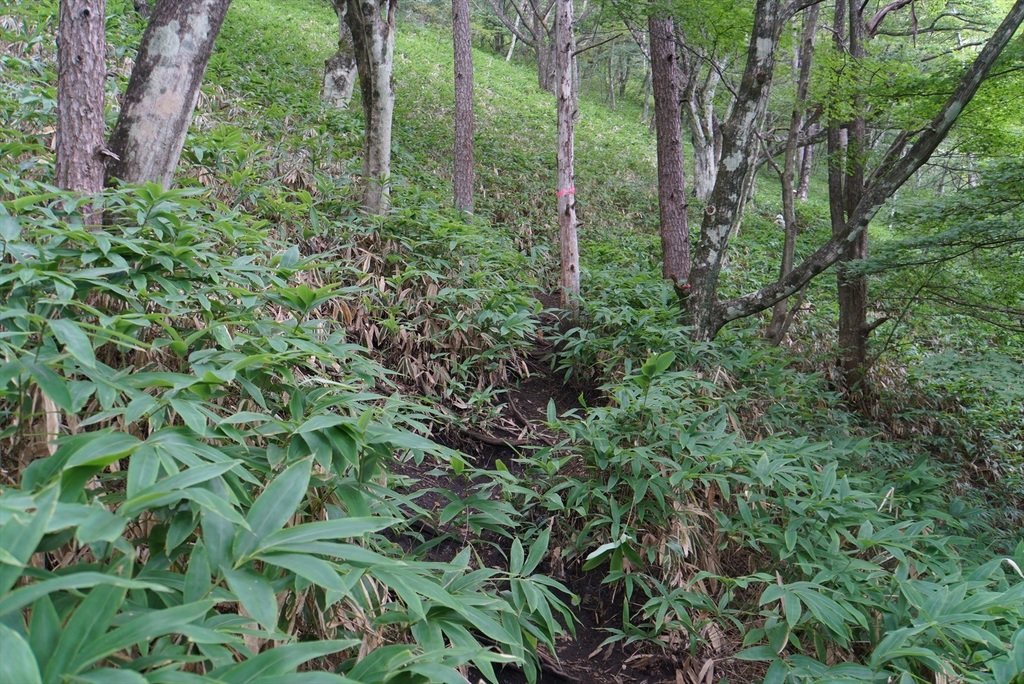 DSC08007_R.JPG