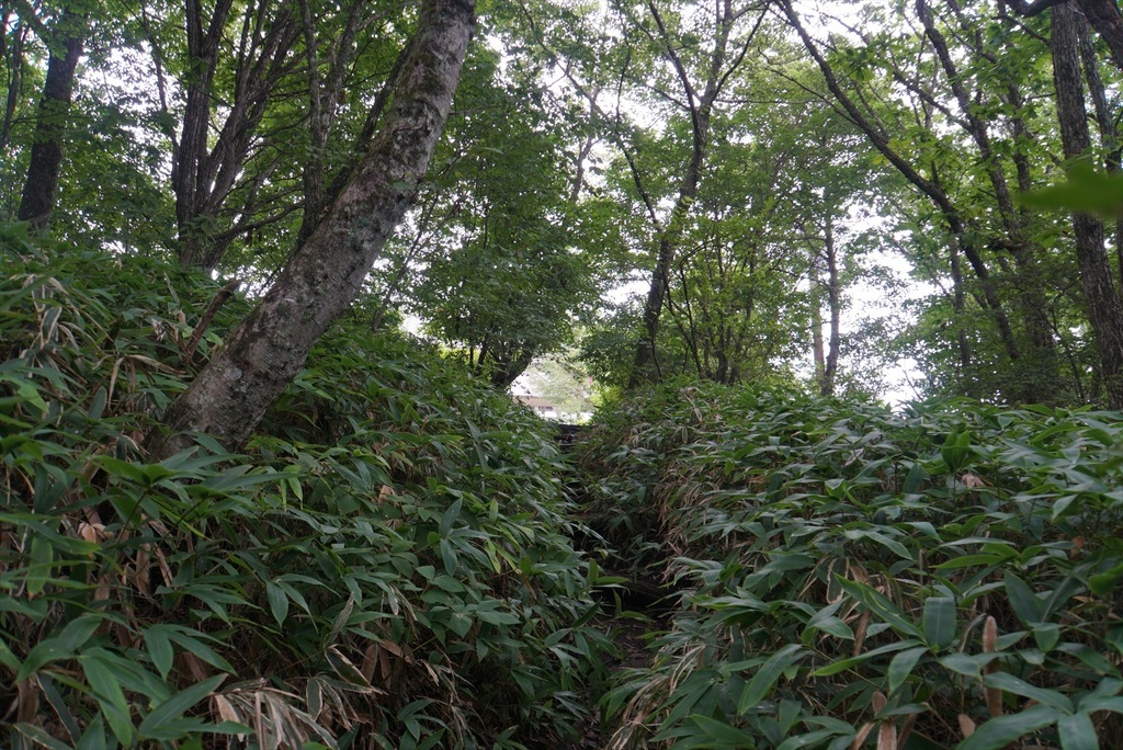 DSC08008_R.JPG