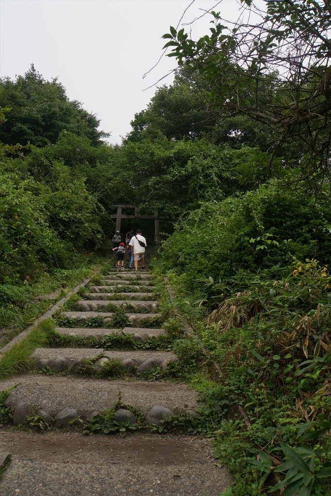 DSC08013_R.JPG