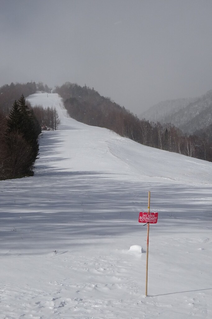 DSC08026_R.JPG