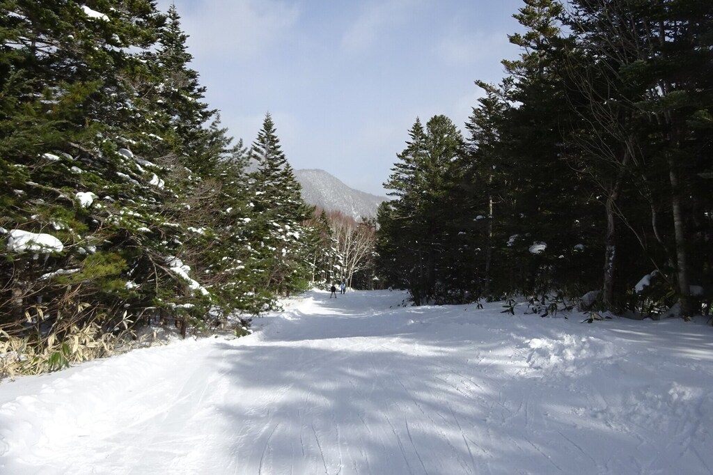 DSC08040_R.JPG