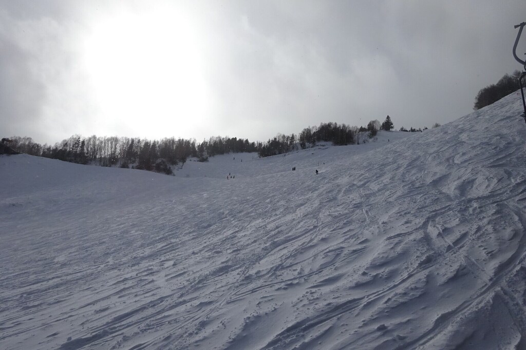DSC08044_R.JPG