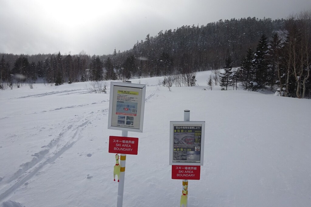 DSC08045_R.JPG