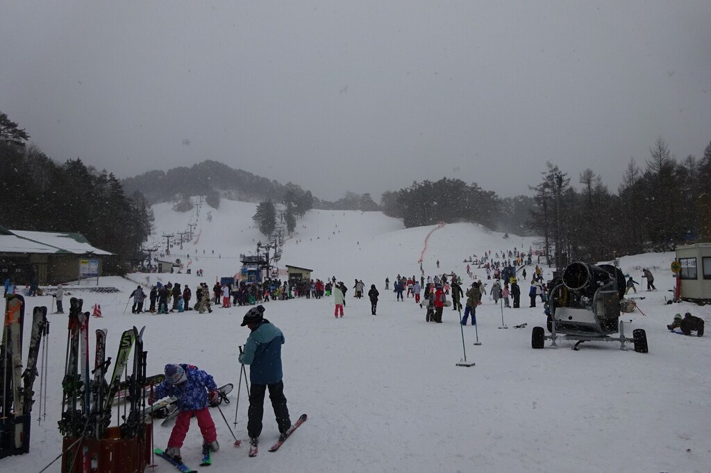 DSC08130_R.JPG