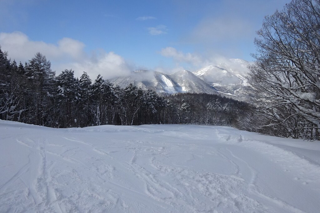 DSC08167_R.JPG
