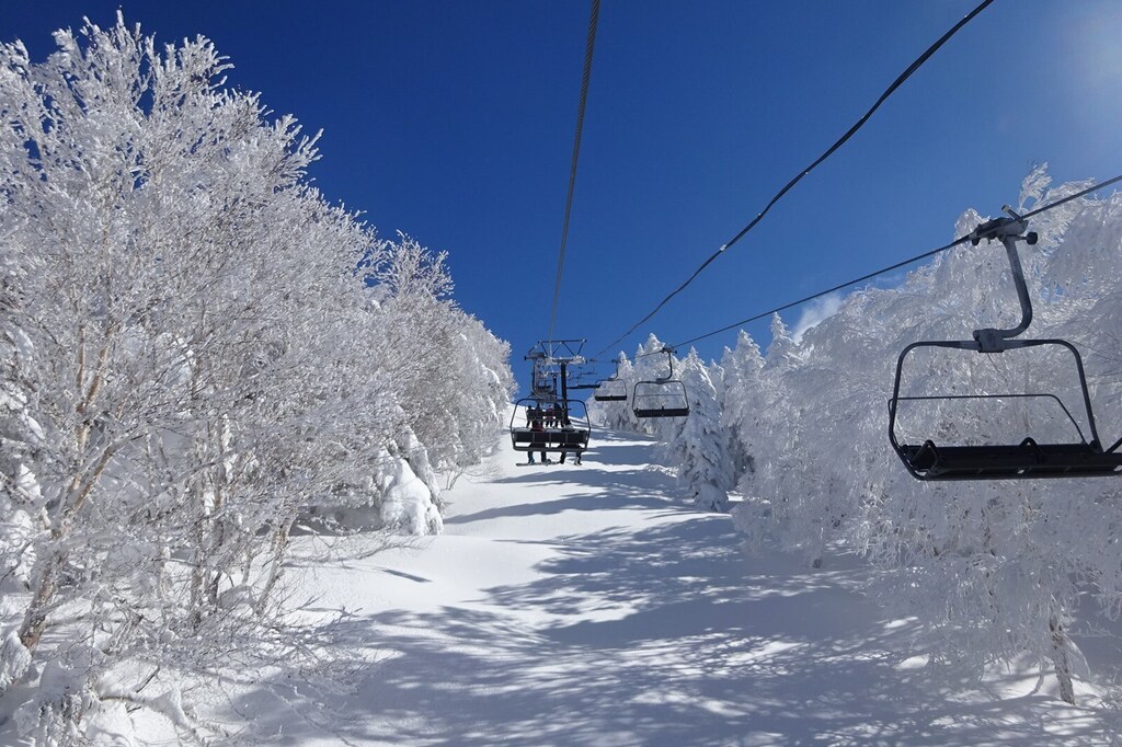 DSC08178_R.JPG