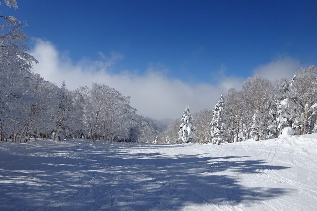 DSC08179_R.JPG
