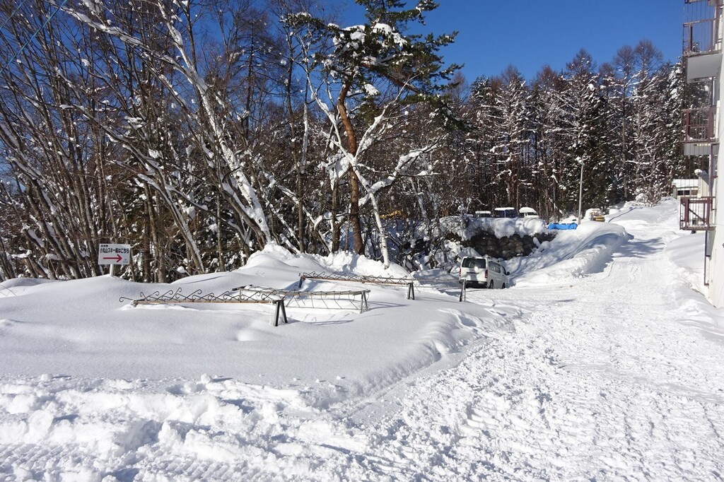 DSC08203_R.JPG