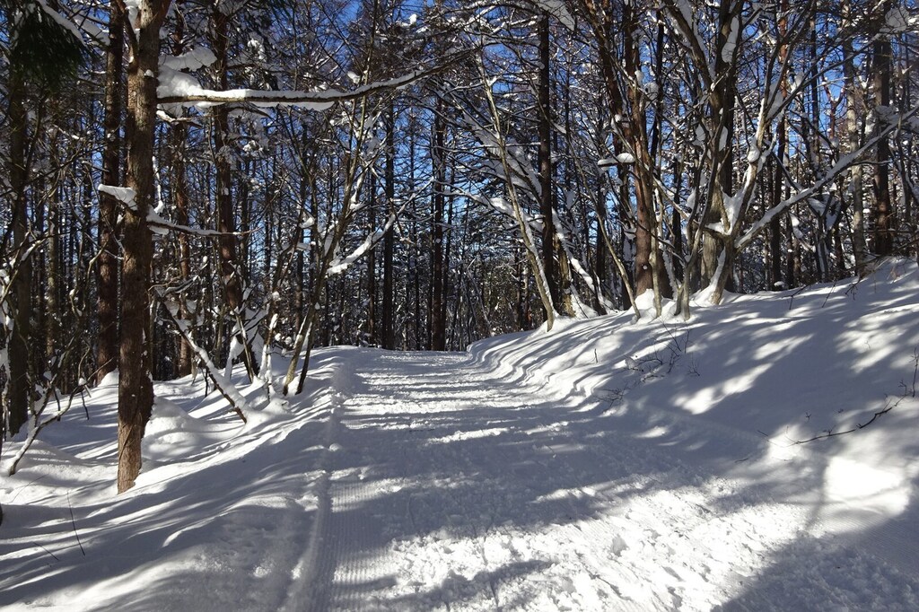 DSC08205_R.JPG