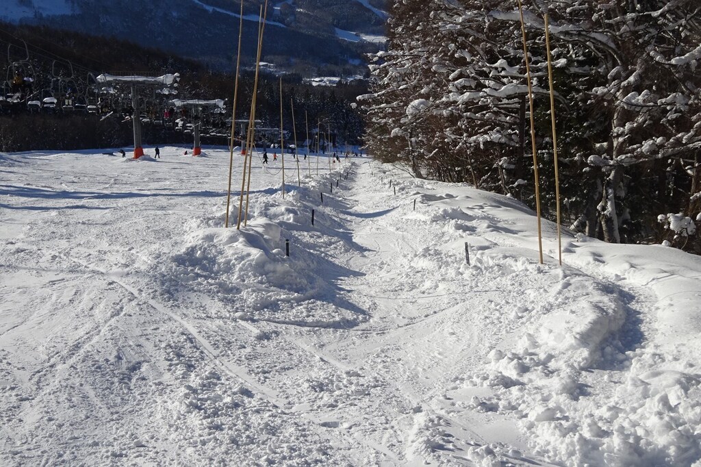 DSC08208_R.JPG