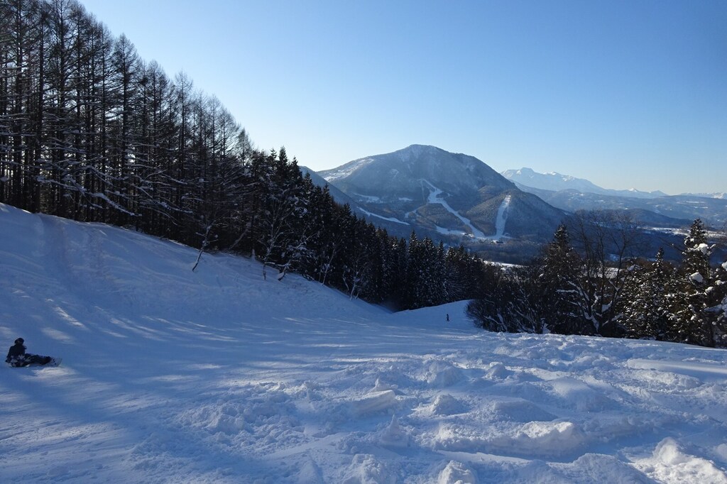 DSC08211_R.JPG