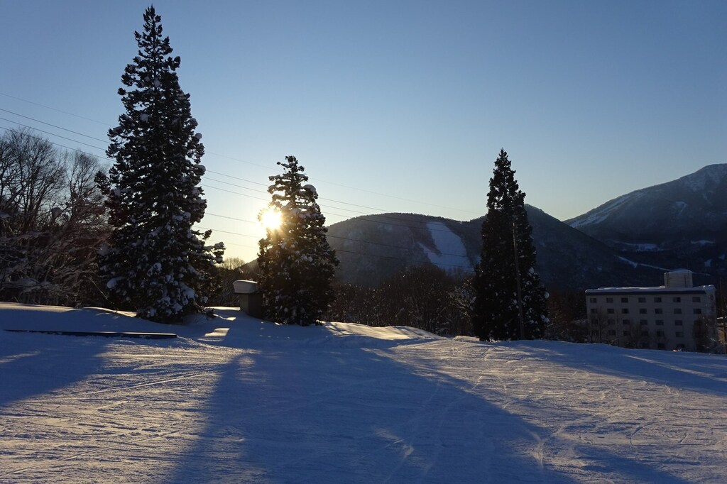DSC08221_R.JPG