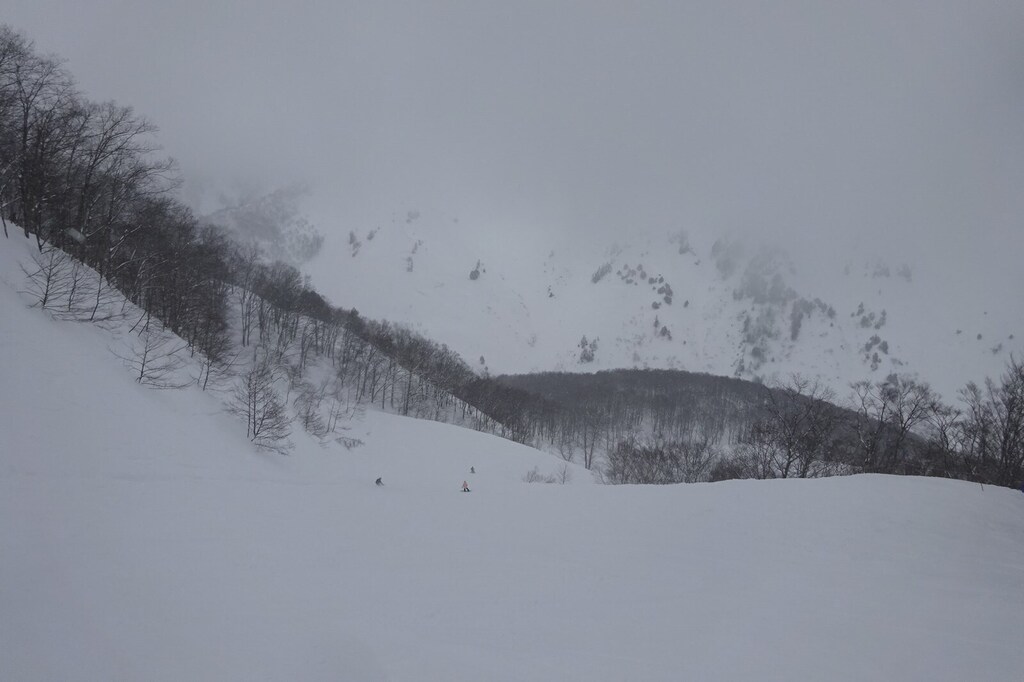 DSC08405_R.JPG