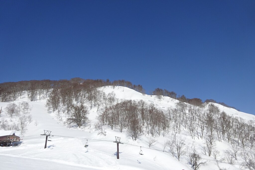 DSC08475_R.JPG