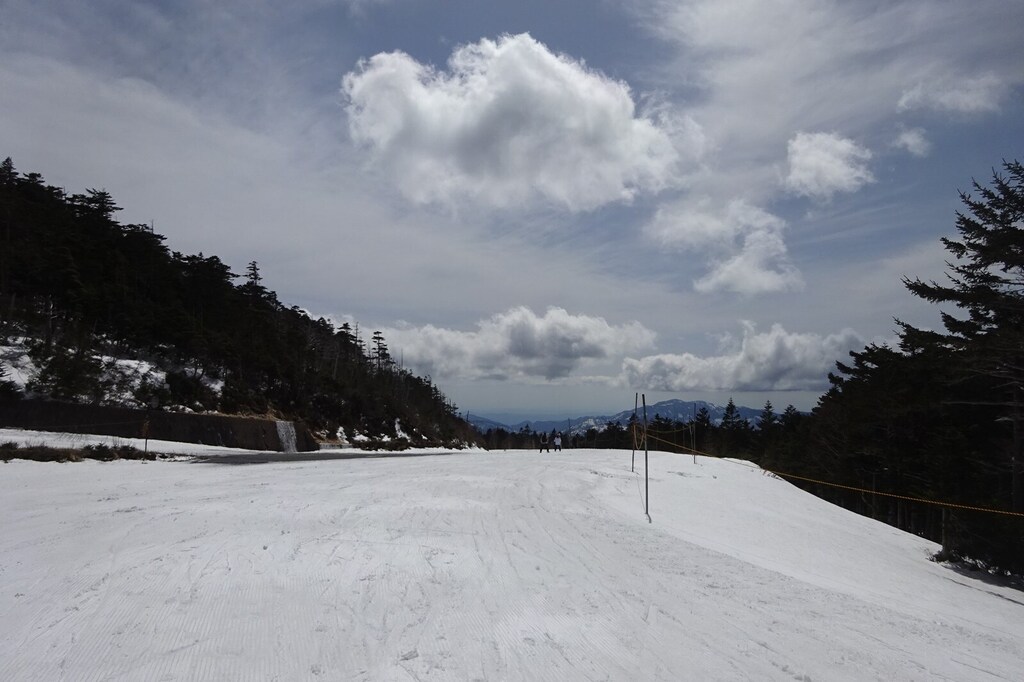 DSC08857_R.JPG
